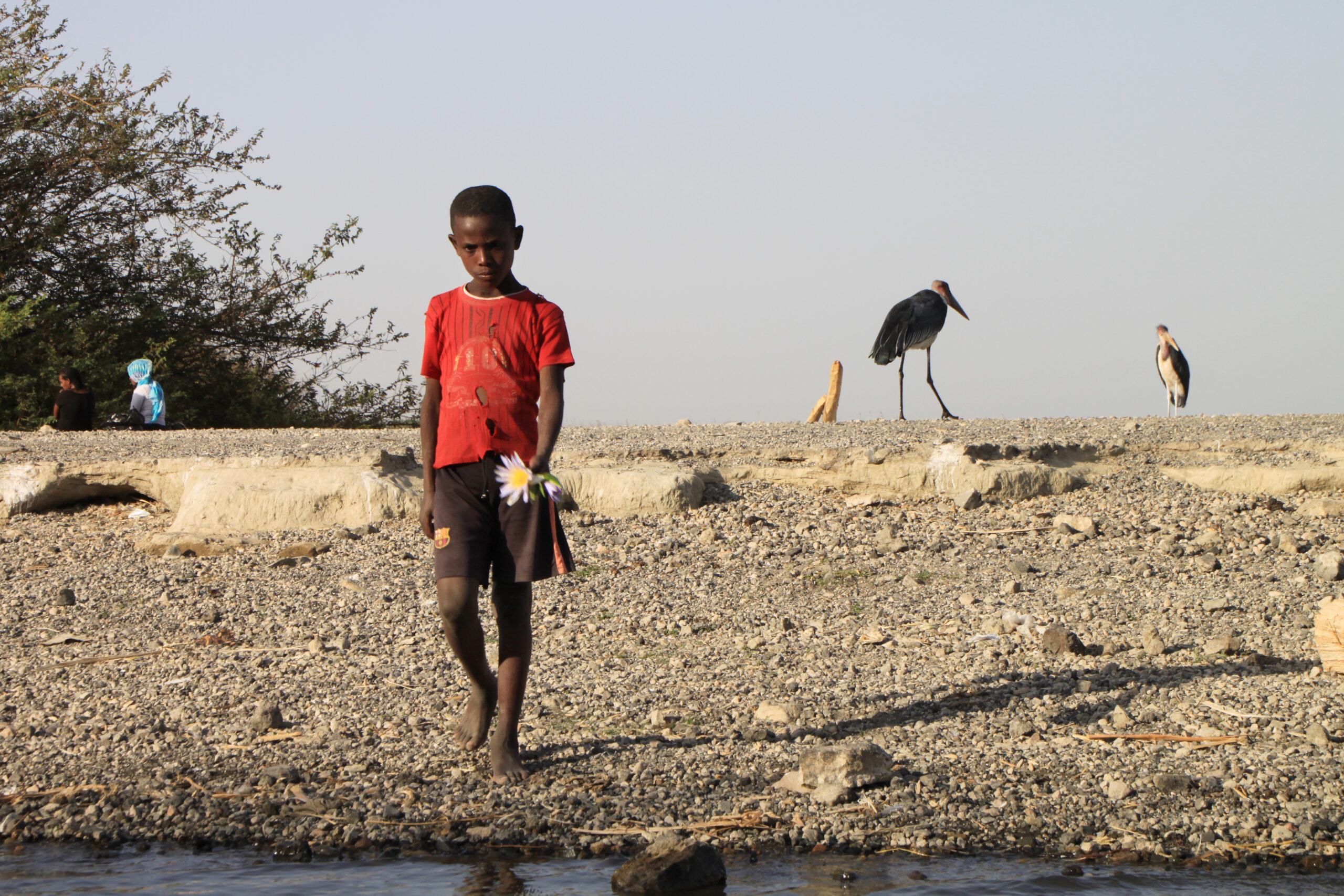 ethiopia_08_lake_ziway_3905