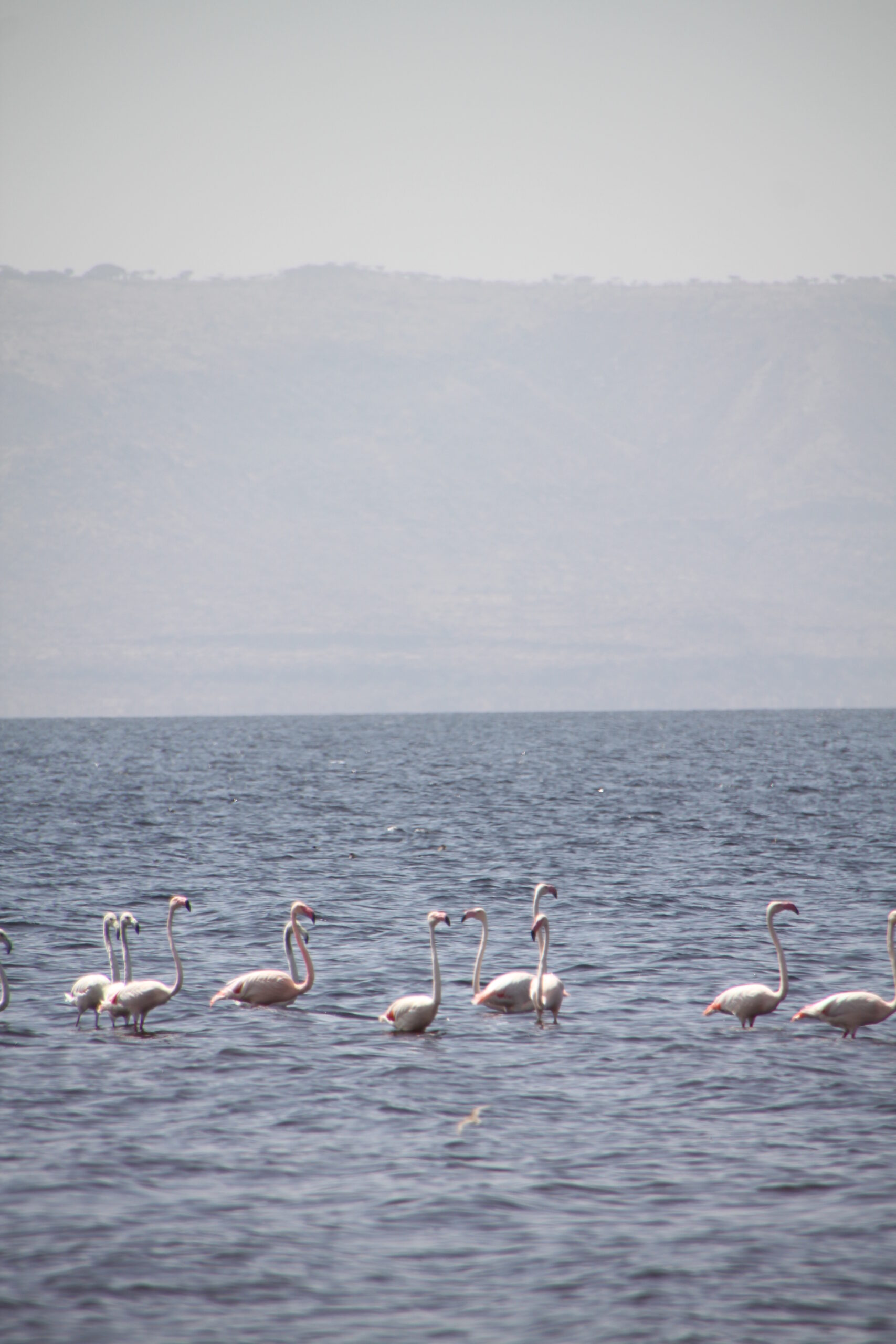 ethiopia_09_lake_langano_4023