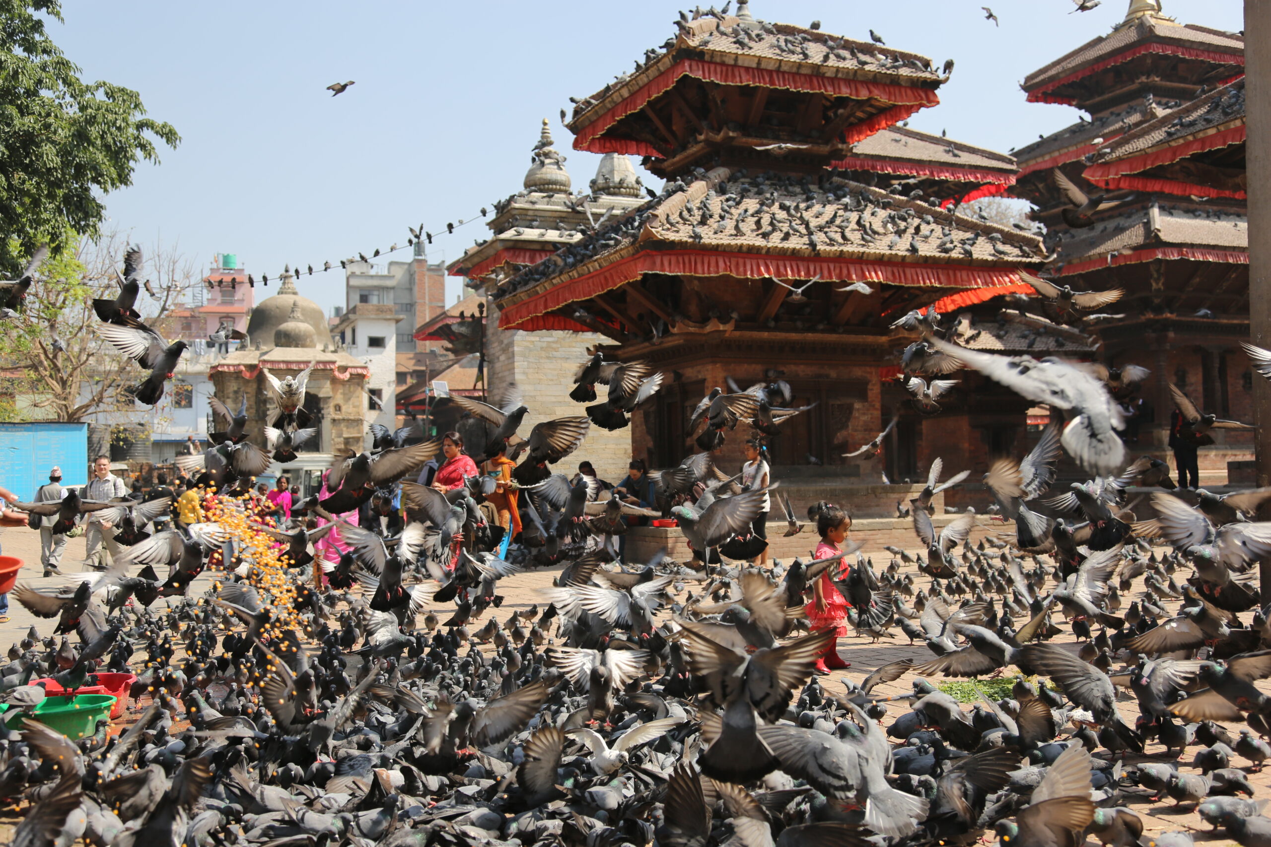 nepal-02340-130404-kathmandu