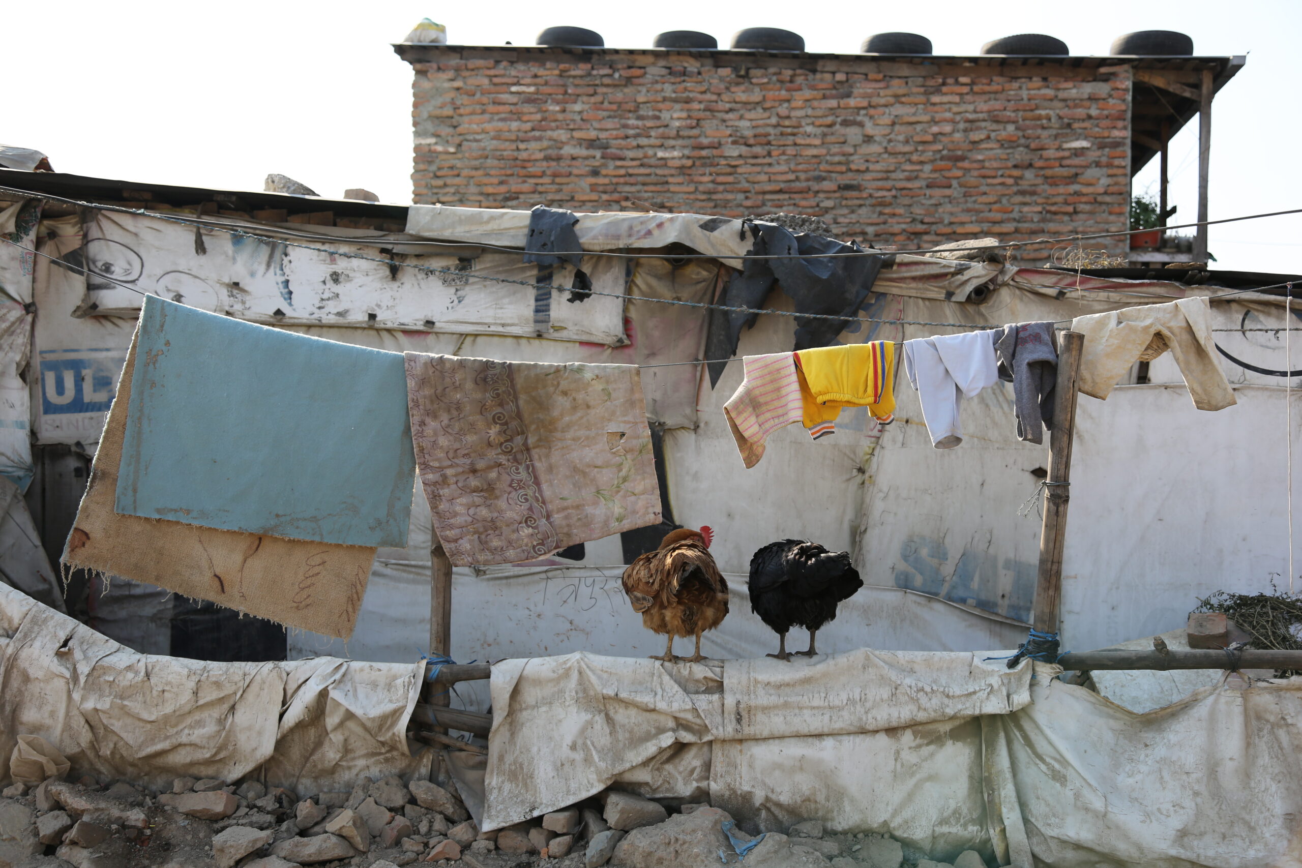 nepal-02439-130404-kathmandu