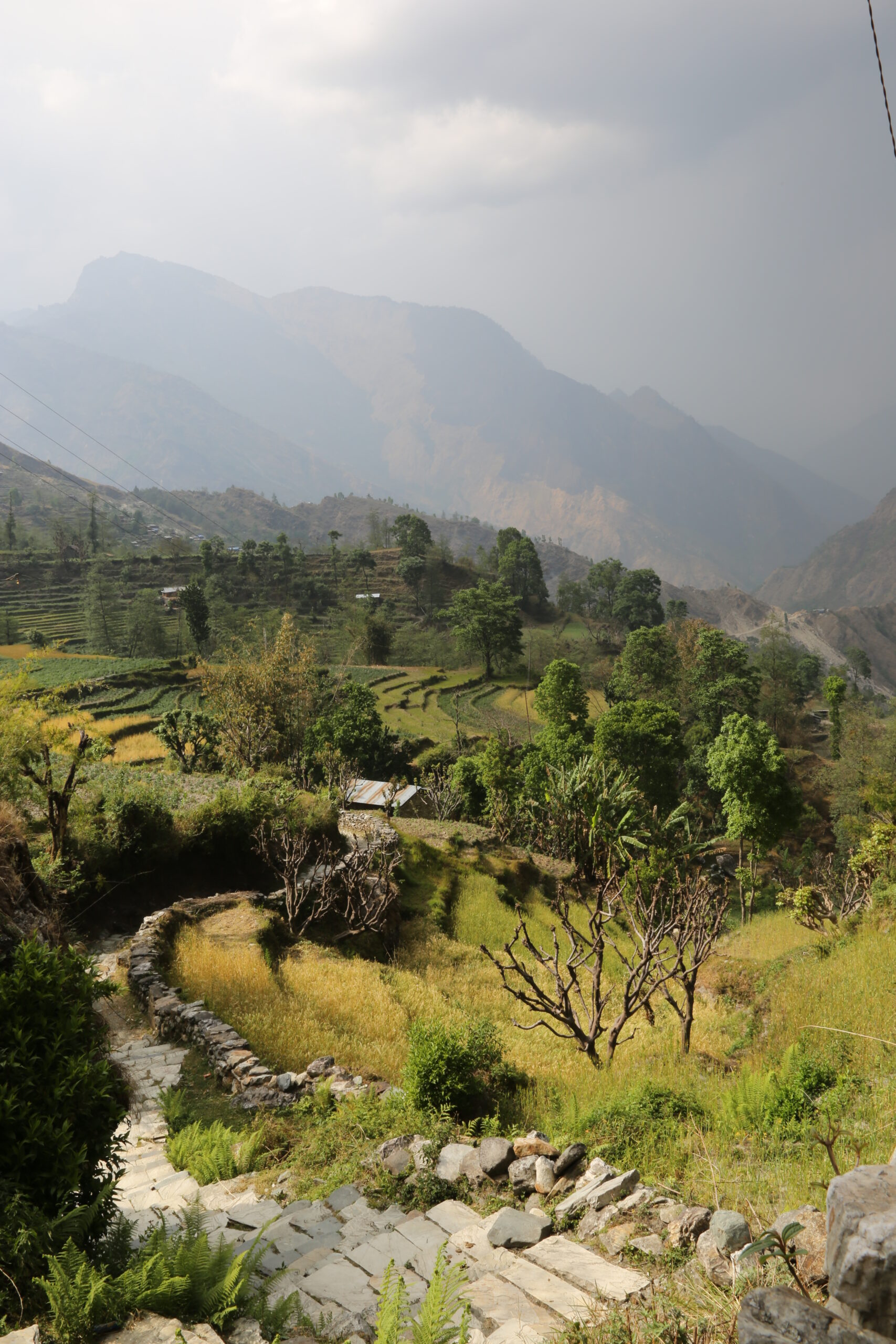 nepal-05613-130417-schacketrek3