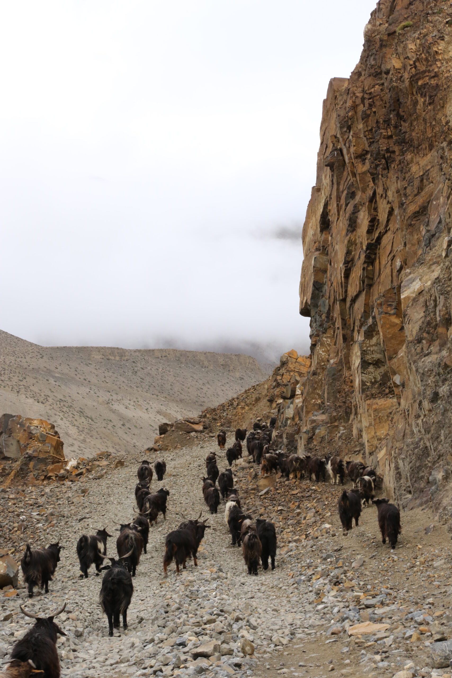 nepal-08471-130422-schacketrek8