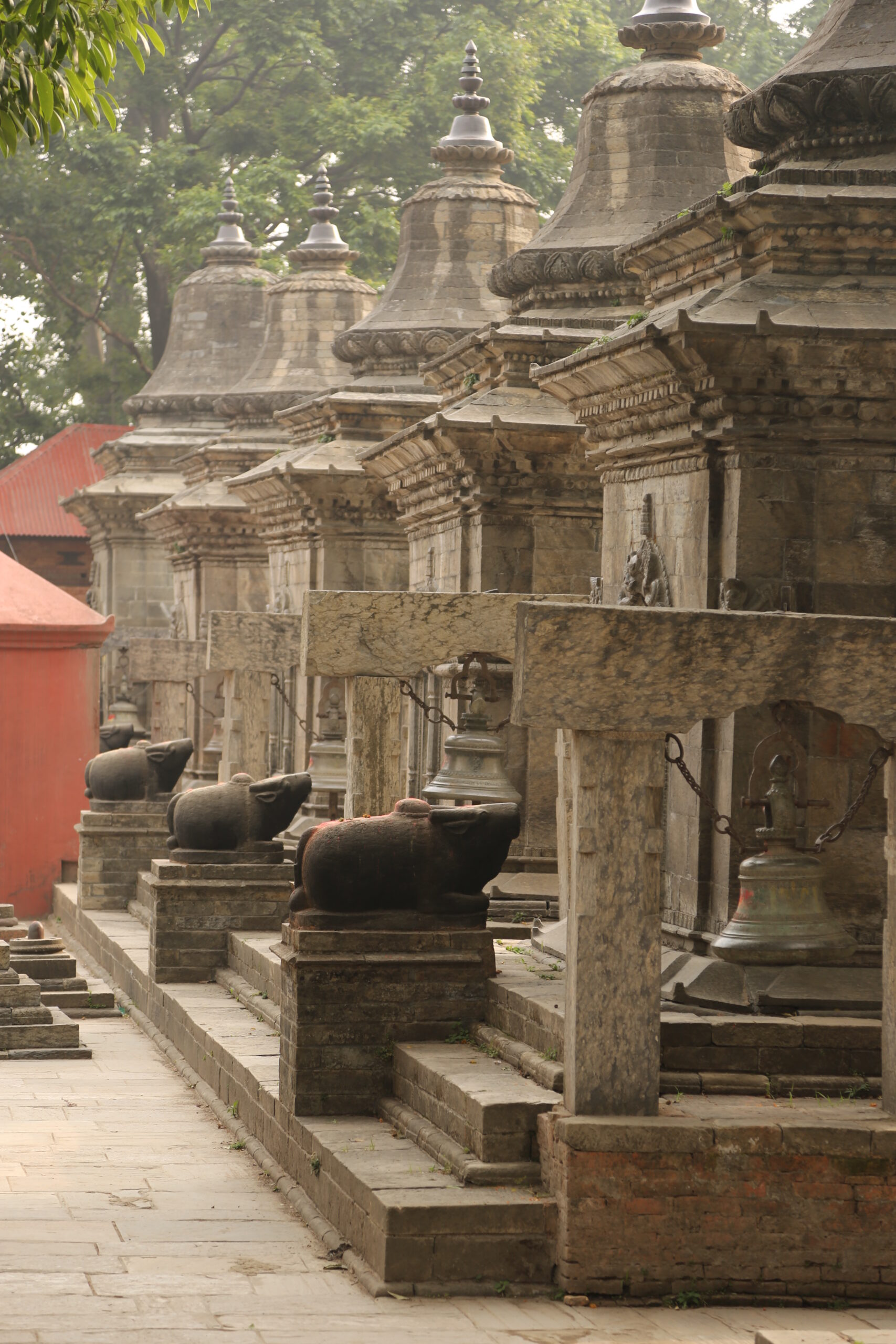 nepal-10891-130429-pashupatinath