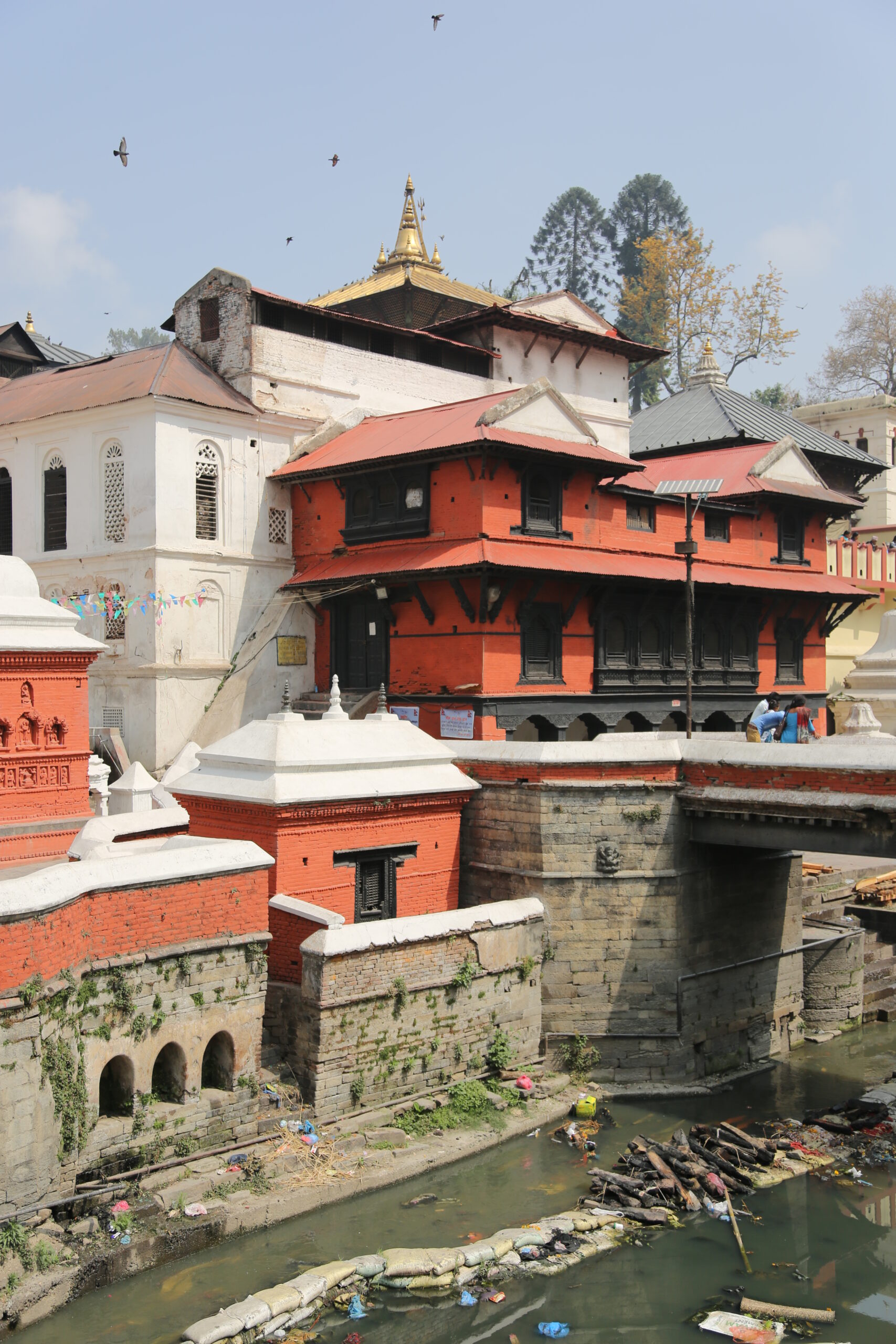 nepal-11142-130429-pashupatinath